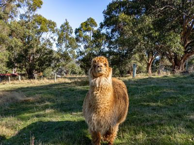 30 Huon View Road, Lower Longley