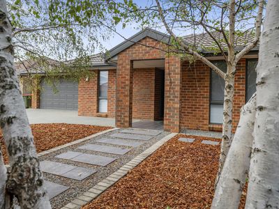 10 Nimbera Street, Harrison