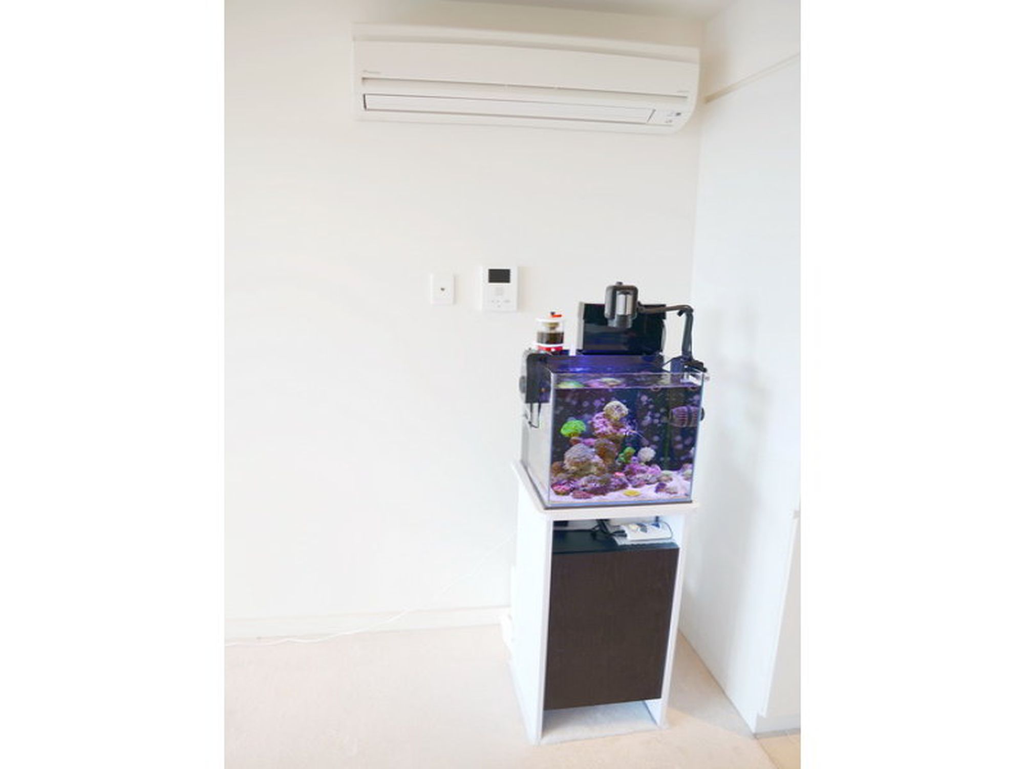 307 / 10 Balfours Way, Adelaide