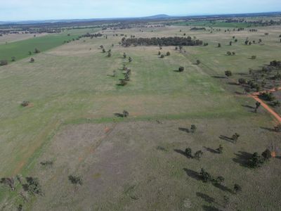 'Nyrang' 3013 Mid Western Highway, West Wyalong