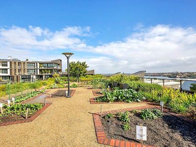 114 / 2 Nagurra Place, Rozelle