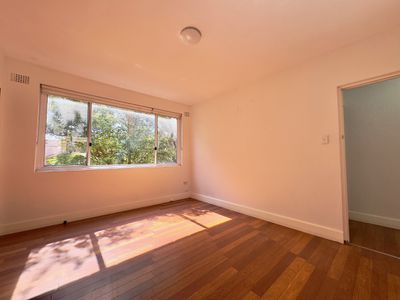 3 / 29 McKern Street, Campsie