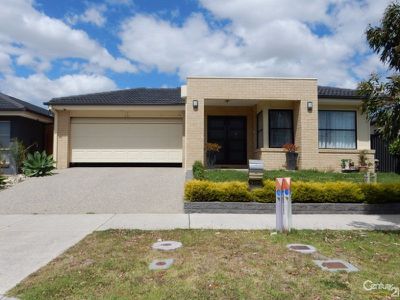 113 Selandra Boulevard, Clyde North