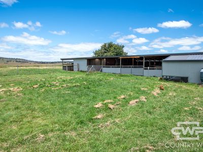 408 Glen Legh Road, Glen Innes