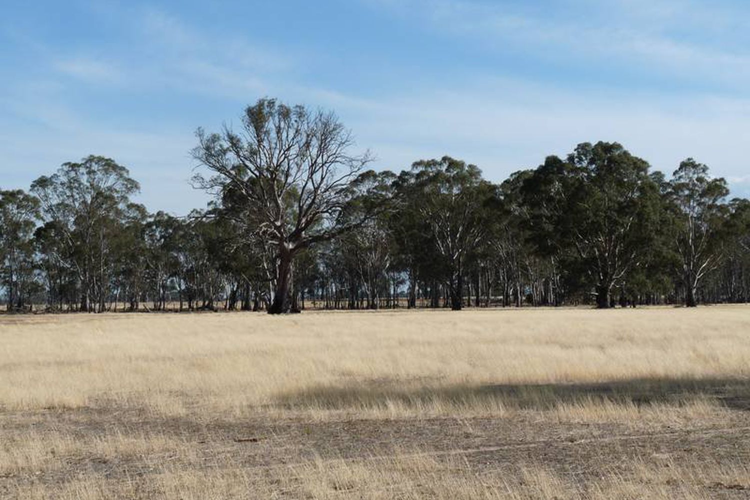 343 Dunns Road, Wonwondah East