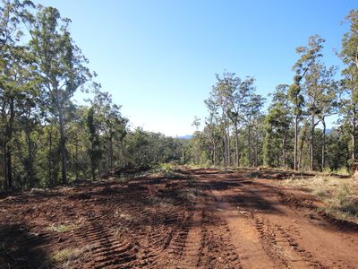 Lot 220 Comboyne Road, Byabarra