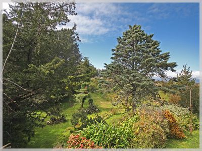 66 Palmer Road, Foxton Beach