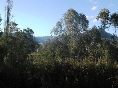 7 / 156 Moss Vale Rd, Kangaroo Valley