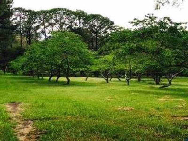 property_name(property)