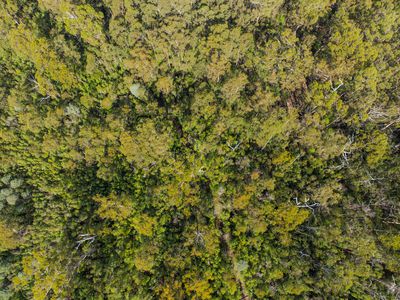 Lot 1, Link Road, Lonnavale