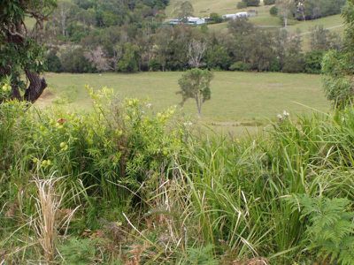 Conondale