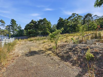 63A Williams Road, Randalls Bay
