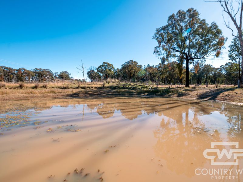 Lot 8, - Emmaville Road, Emmaville