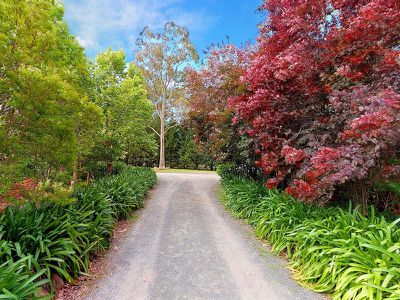 41 Old Bendeela Road, Kangaroo Valley