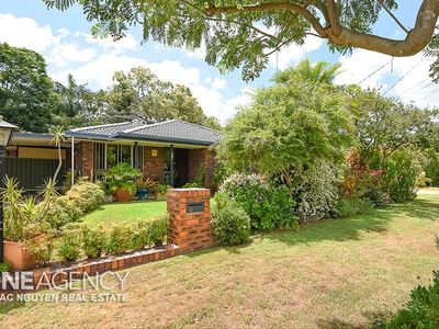 39 Bluegum Drive, Camira