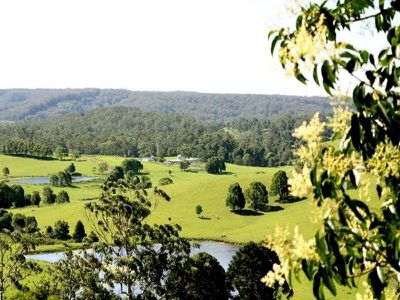 172 Thompson Road, Dulong