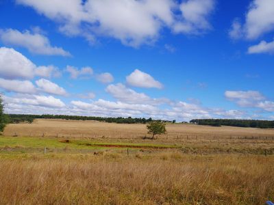 376 Reedy Creek, Kingaroy