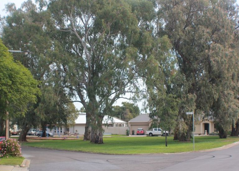 4 Willoughby Avenue, Novar Gardens