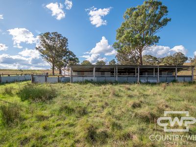 Lot 241, 243, 2202 Wellington Vale Road, Emmaville