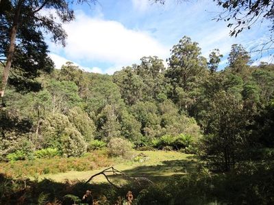 Lot 19 Waggs Gully Road, Ranelagh