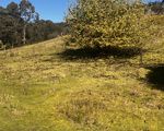 Lot 9, Banksia Avenue, Sisters Beach