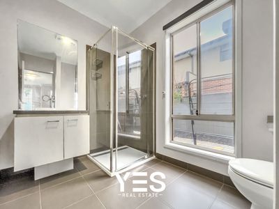 49 Springleaf Avenue, Clyde North