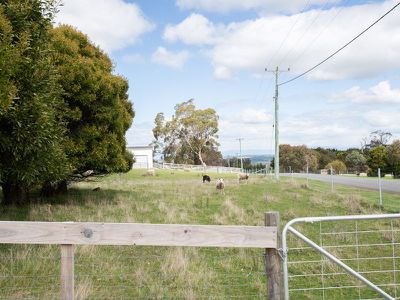 26 White Gum Rise, St Leonards