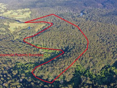 59B Burgess Track, Wallagaraugh, Genoa