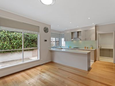 2 / 1 Sylvan Crescent, Ashwood