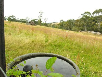 1 Field Road, Lonnavale