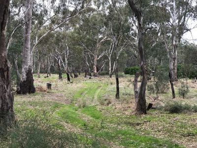 67A River Road, Murrabit