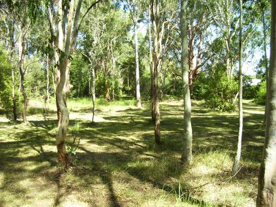 Morisset