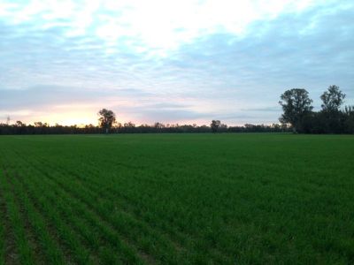 Tocumwal