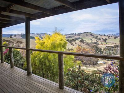 99 Star of the Glen Road, Bonnie Doon