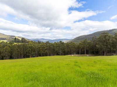 1775 Pelverata Road, Upper Woodstock