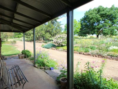 Bonnie Doon