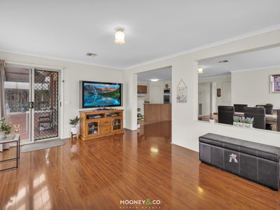 53 Cherryhills Drive, Cranbourne