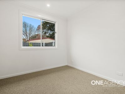 19 St Lukes Avenue, Brownsville