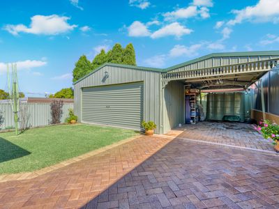 51 Armitree Street, Kingsgrove