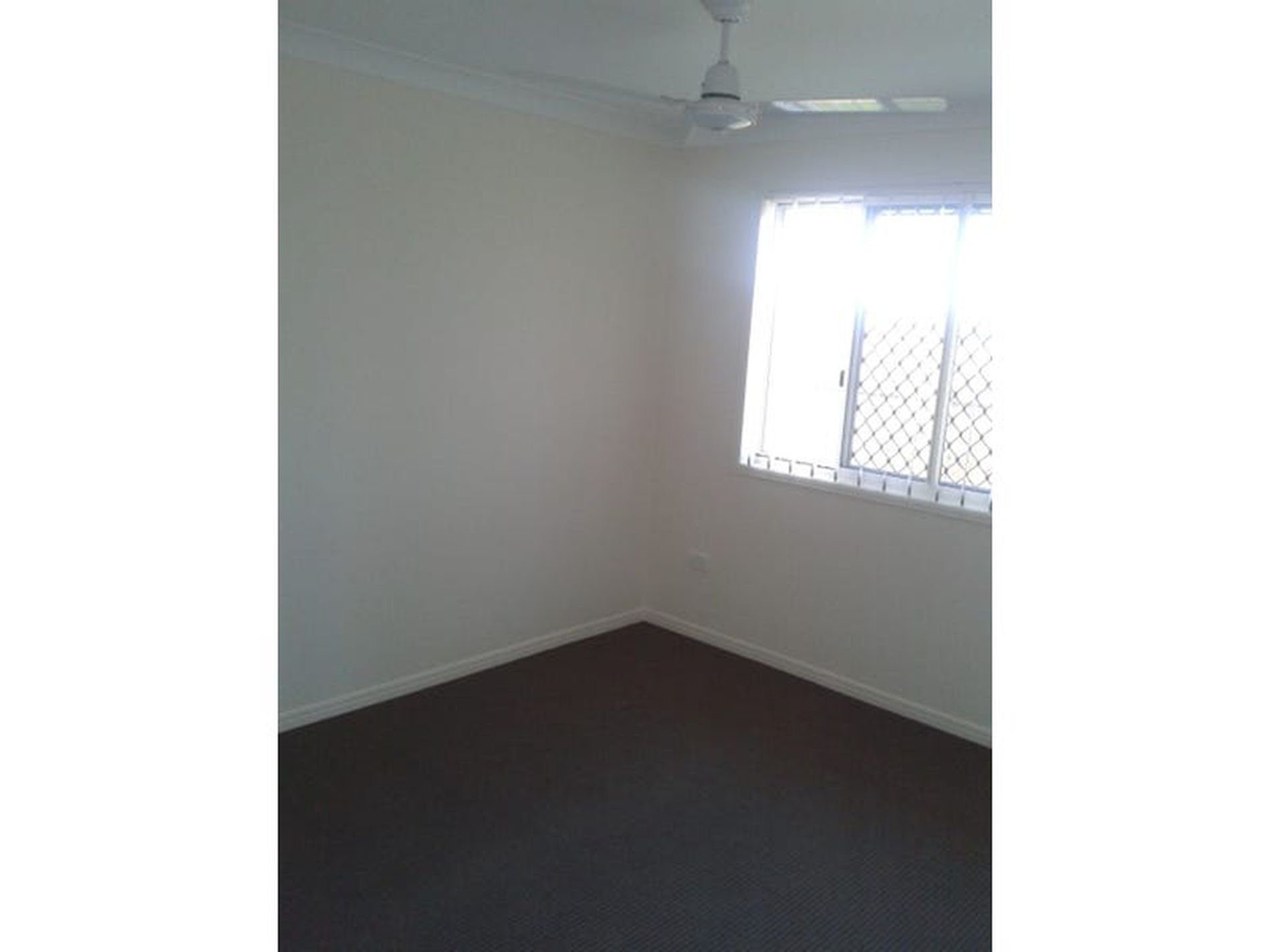 63 Abby Drive, Gracemere