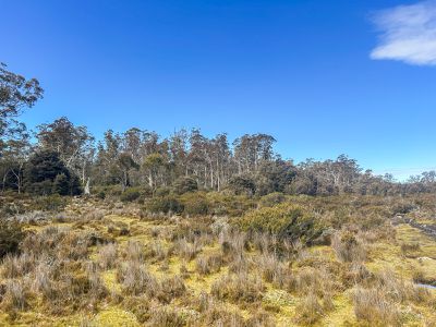 331L Arthurs Lake Road, Arthurs Lake