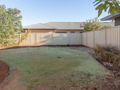 11 Angelo Street, Newman