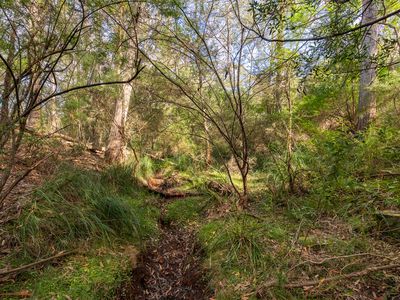 21 Eucalyptus Lane, Lochiel