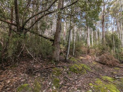 Ra Brittains Road, Garden Island Creek