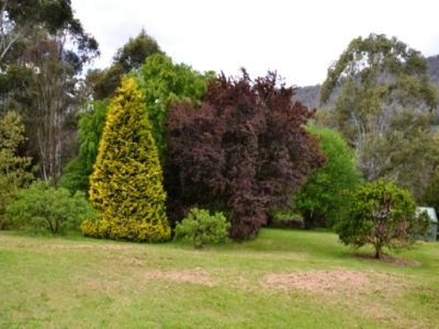131 Simmonds Creek Road , Tawonga South