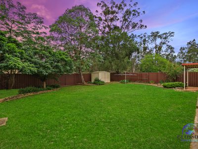 68 Sedgman Crescent, Shalvey