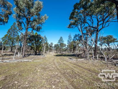 Lot 16, 18, - Emmaville Rd, Emmaville