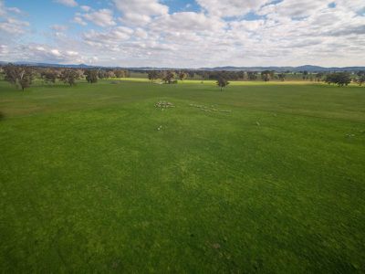 342A Banksdale Road, Greta