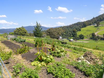 119 Sunday Hill Road, Petcheys Bay