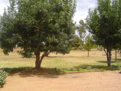 2 / 36 Windsor Parade, Dubbo